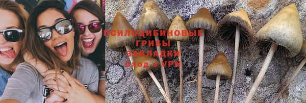тгк Аркадак