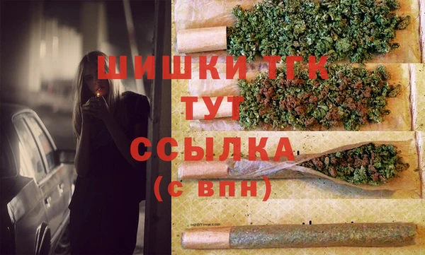 ешки Арсеньев