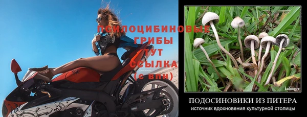 тгк Аркадак